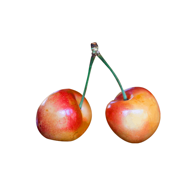 Branch Apple - Image 4